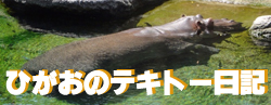 �Ђ����̃e�L�g�[���L